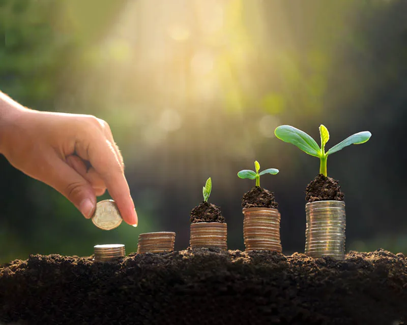 Limitless Humanitarian Services(LHS)